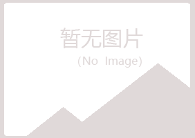 天山区字迹冶炼有限公司